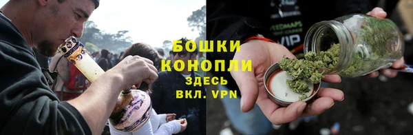 сатива Бронницы