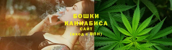 сатива Бронницы