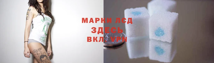 сатива Бронницы