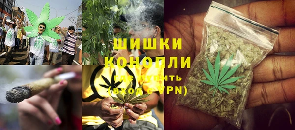 сатива Бронницы