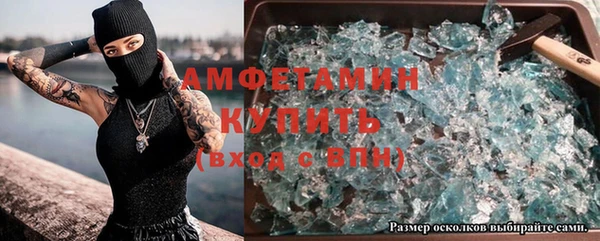 сатива Бронницы