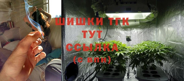 сатива Бронницы