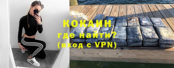 сатива Бронницы