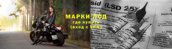 СК Бугульма