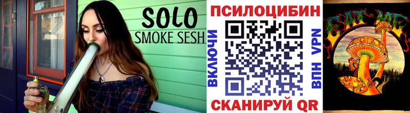 Псилоцибиновые грибы Psilocybe  где купить наркотик  ссылка на мегу ссылки  Северодвинск 